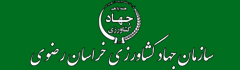 jehad